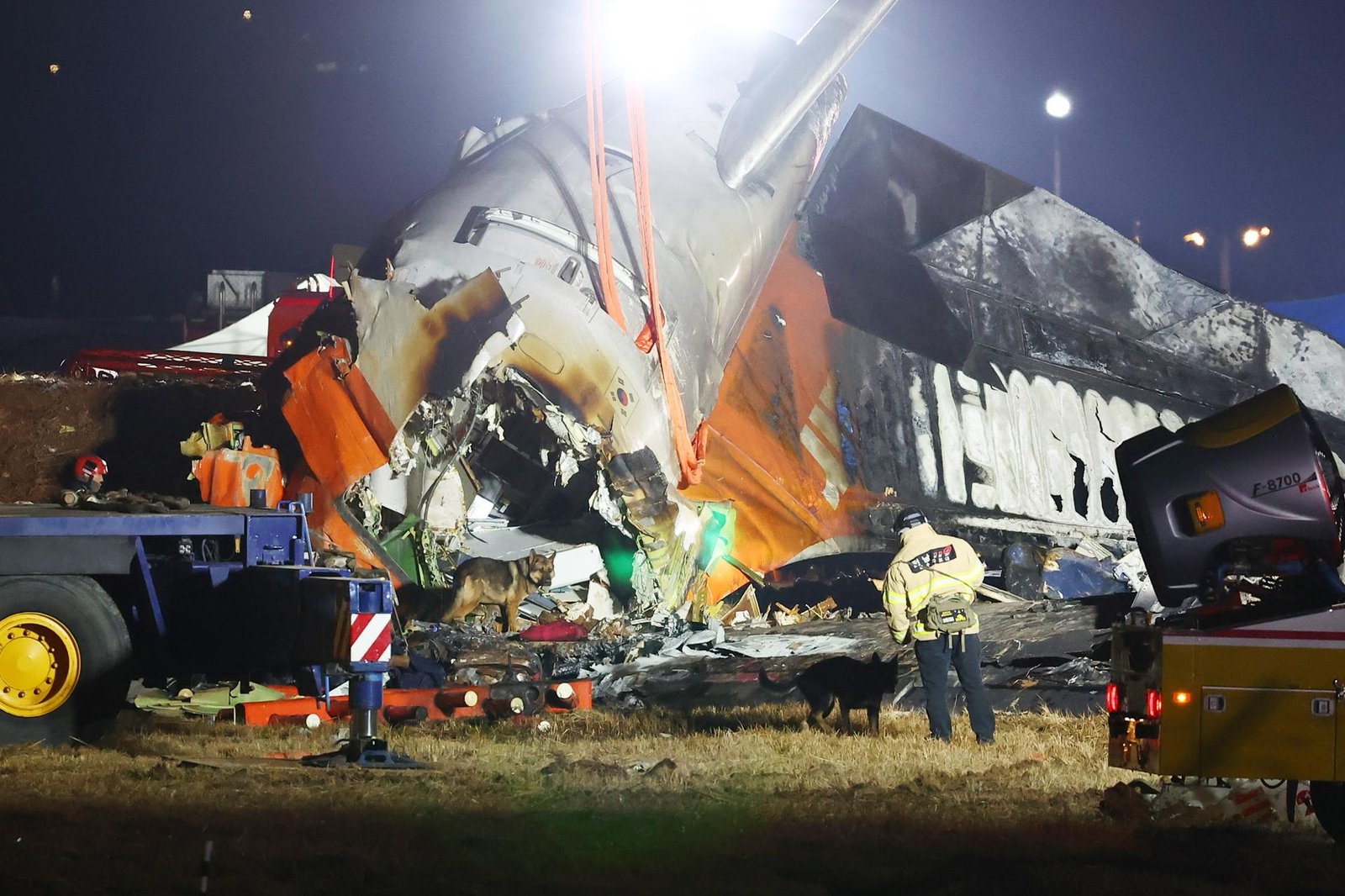 Qué ha provocado el accidente de avión en Corea del Sur de la aerolínea Jeju Air Qué ha provocado el accidente de avión en Corea del Sur de la aerolínea Jeju Air