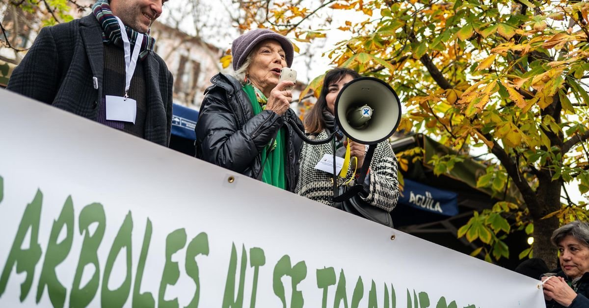 La Casa Real ignora la muerte de Paredes, como Feijóo, Ayuso y Almeida La Casa Real ignora la muerte de Paredes, como Feijóo, Ayuso y Almeida