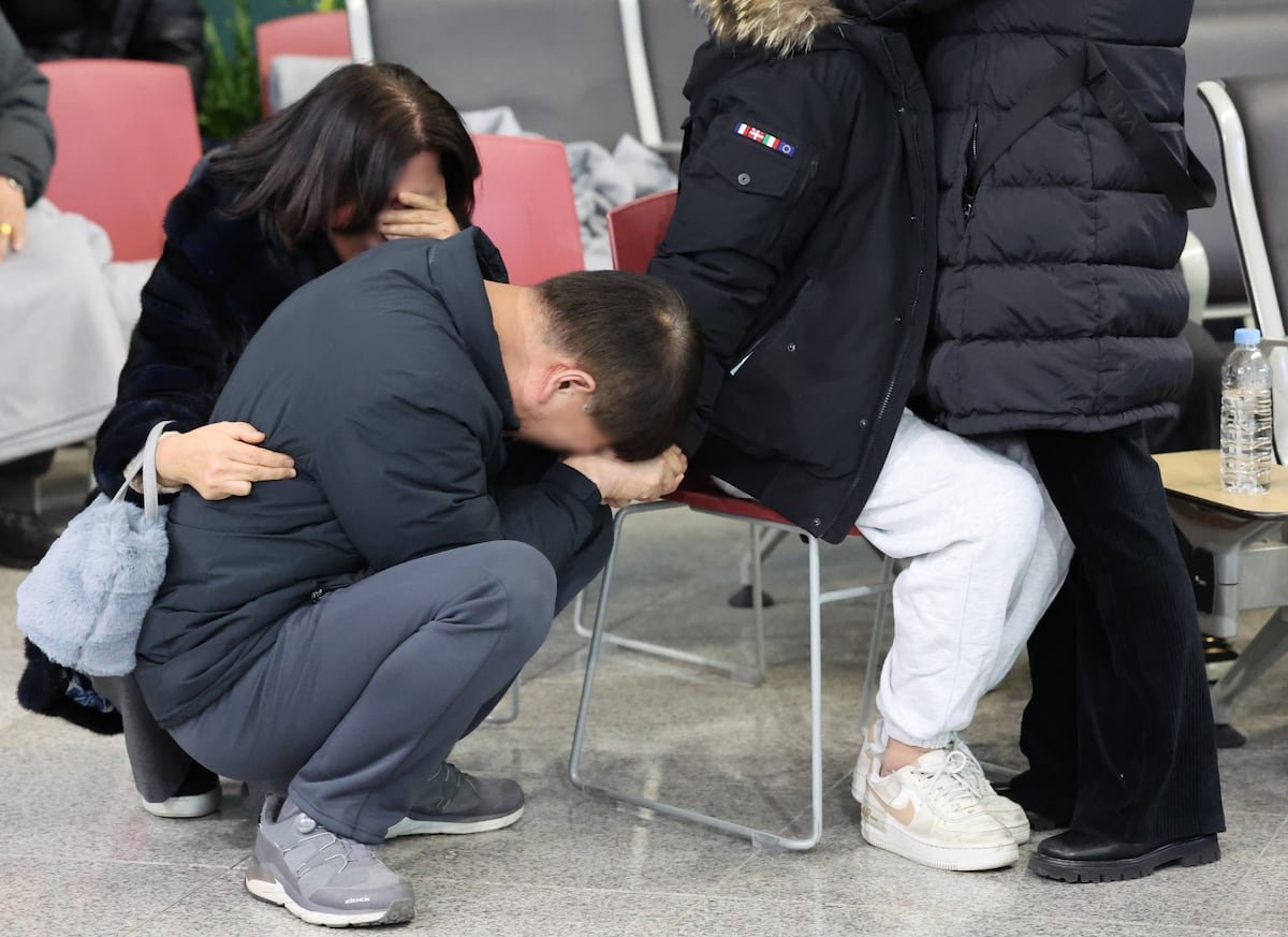 Corea del Sur ordena revisar todos los aviones del mismo modelo que el del accidente que causó 179 muertos | Internacional Corea del Sur ordena revisar todos los aviones del mismo modelo que el del accidente que causó 179 muertos | Internacional