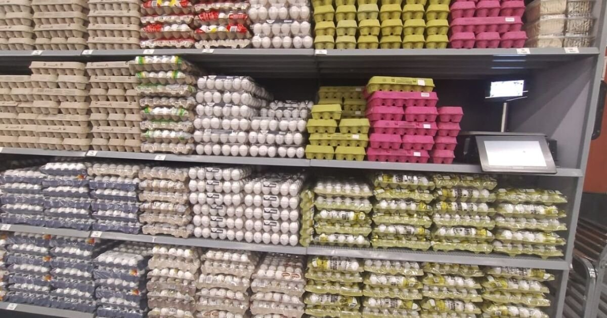 Alerta por Salmonella en los huevos de un supermercado Alerta por Salmonella en los huevos de un supermercado