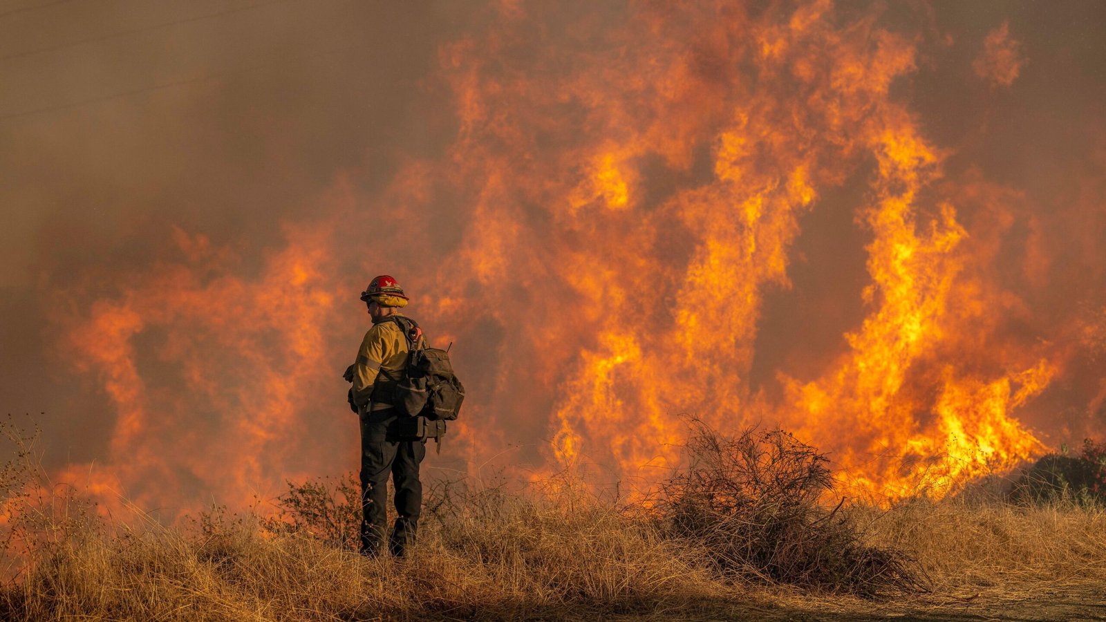 Aumenta a 24 el número de muertos en los incendios de Los Ángeles Aumenta a 24 el número de muertos en los incendios de Los Ángeles