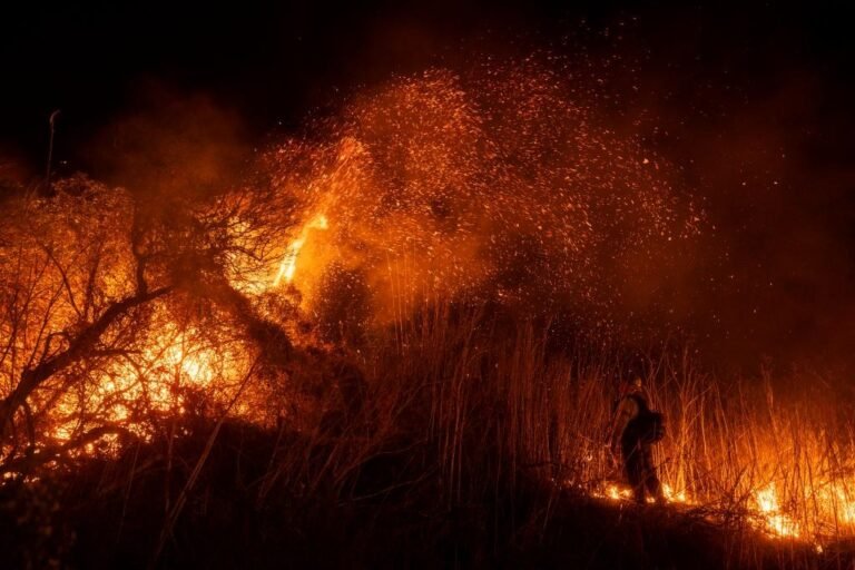 Reconocida actriz perdió la vida en medio de los devastadores incendios en Los Ángeles