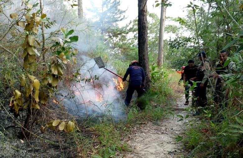 Avioneta se estrelló en el municipio El Hatillo Avioneta se estrelló en el municipio El Hatillo