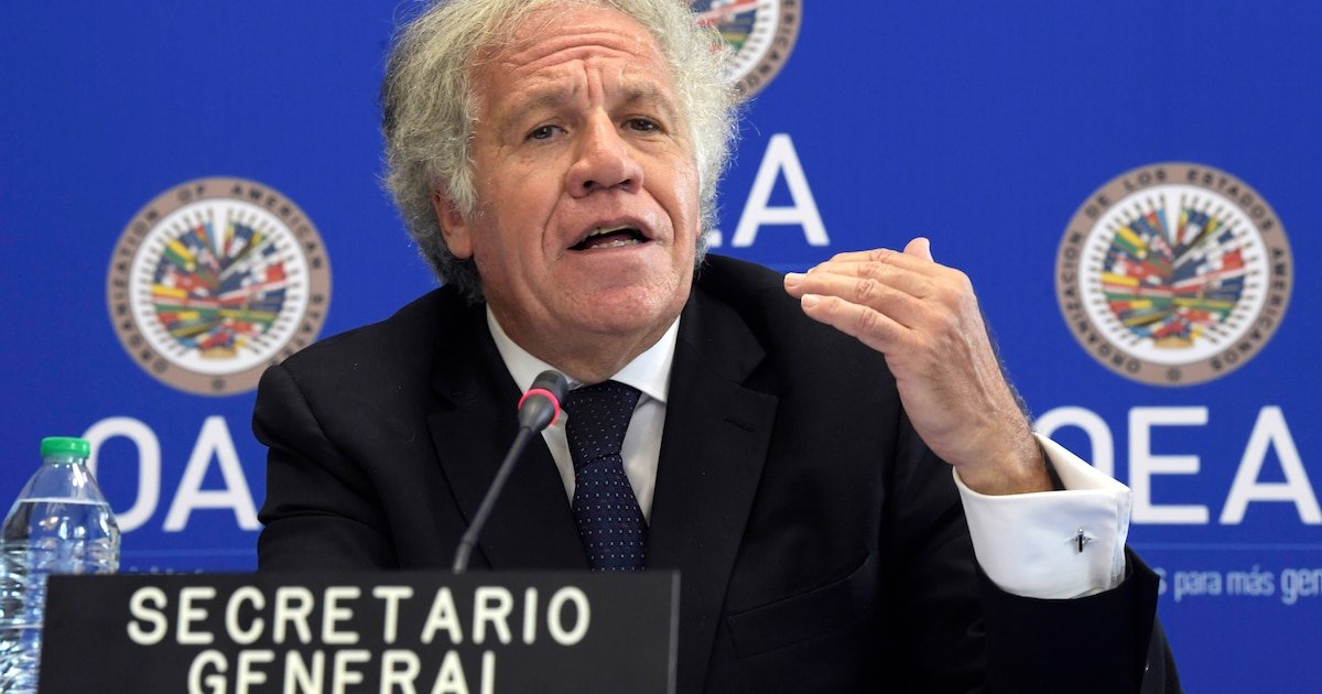 La OEA condenó la detención del gendarme argentino en Venezuela: “Es un crimen de lesa humanidad” La OEA condenó la detención del gendarme argentino en Venezuela: “Es un crimen de lesa humanidad”