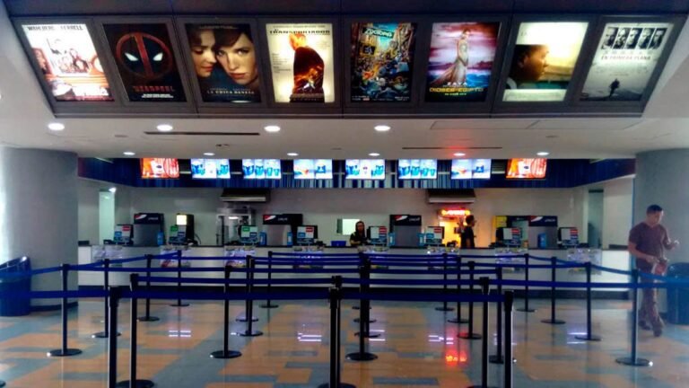 Asistencia a las salas de cine incrementó 0,3% en comparación al año 2023