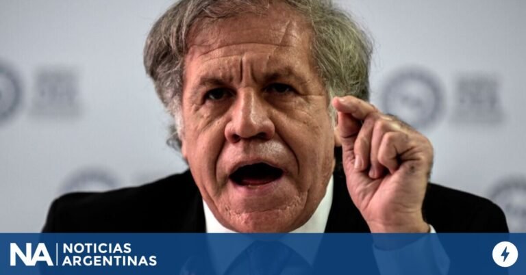 LA OEA condenó la “detención arbitraria” del gendarme argentino en Venezuela: “Es un crimen de lesa humanidad”