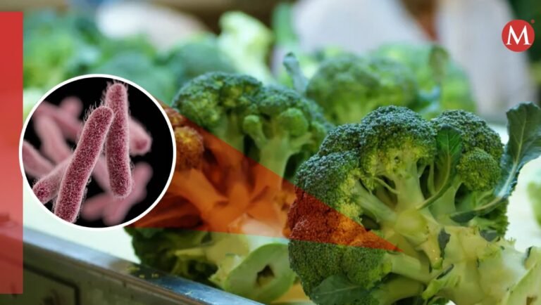 Alertan en EU por Brócoli de Braga Fresh contaminado con bacteria- Grupo Milenio