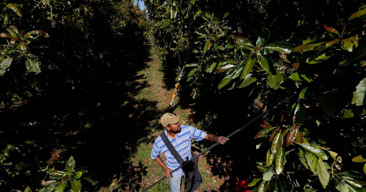 Estas son las claves en la relación comercial de ‘amor-odio’ con EU – El Financiero Estas son las claves en la relación comercial de ‘amor-odio’ con EU – El Financiero