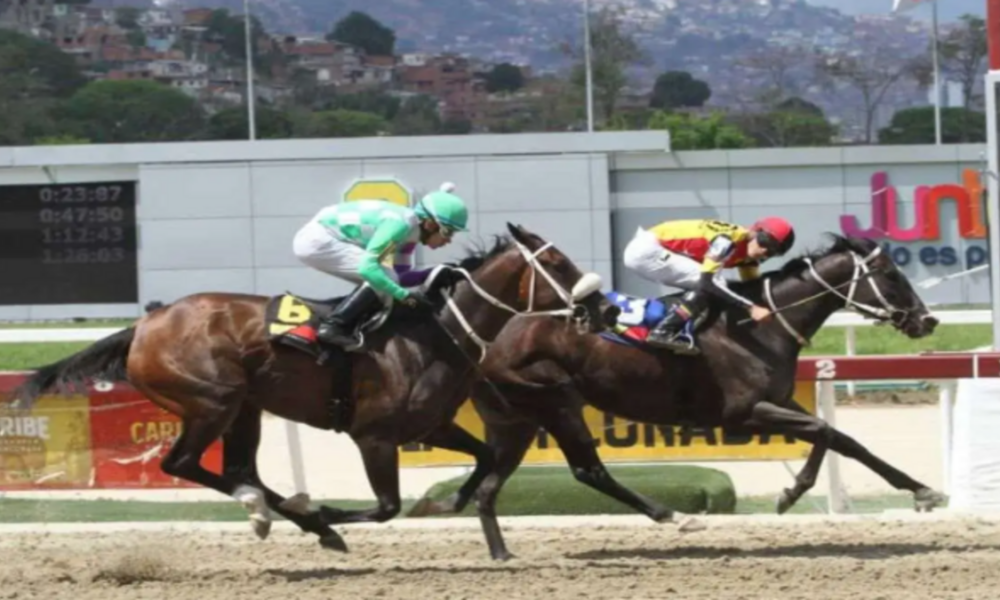 Hipismo: Hubo dos batacazos en La Rinconada Hipismo: Hubo dos batacazos en La Rinconada