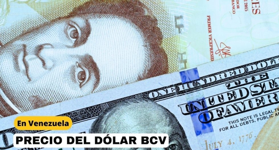 Dólar BCV hoy, 15 de febrero 2025: Tasa cotizada del Banco Central de Venezuela | RESPUESTAS Dólar BCV hoy, 15 de febrero 2025: Tasa cotizada del Banco Central de Venezuela | RESPUESTAS