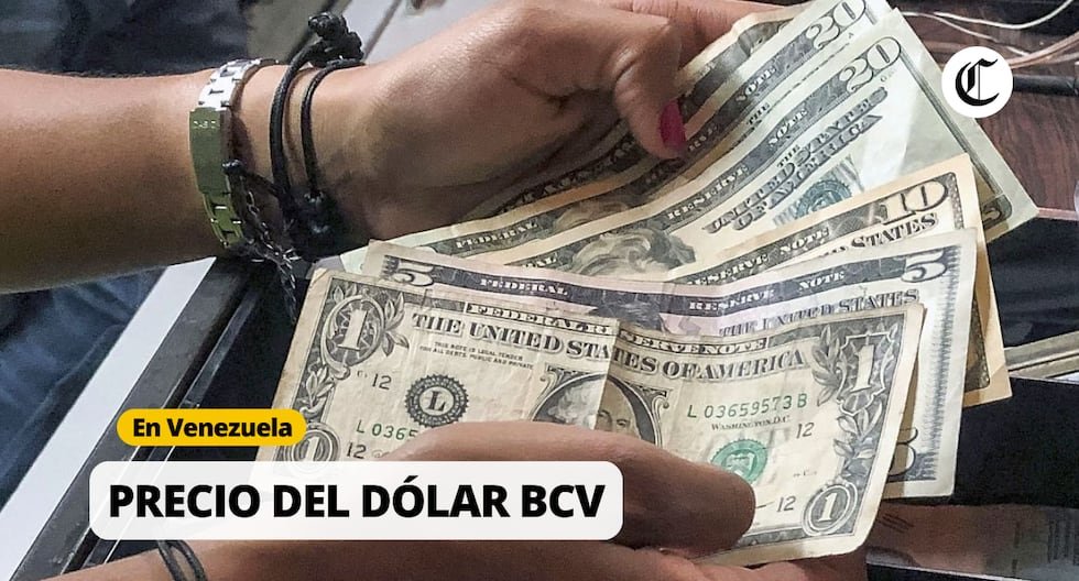 Cotización del Dólar BCV hoy, 19 de febrero según precio del Banco Central de Venezuela | RESPUESTAS