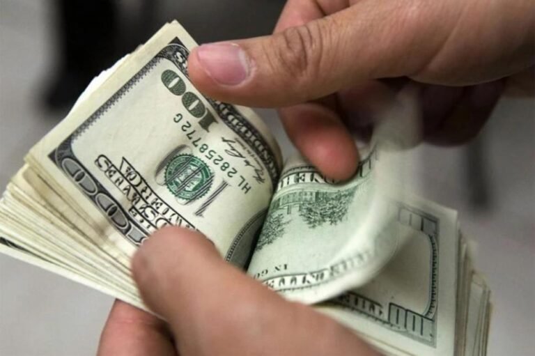 la incertidumbre cambiaria y el FMI generan turbulencias