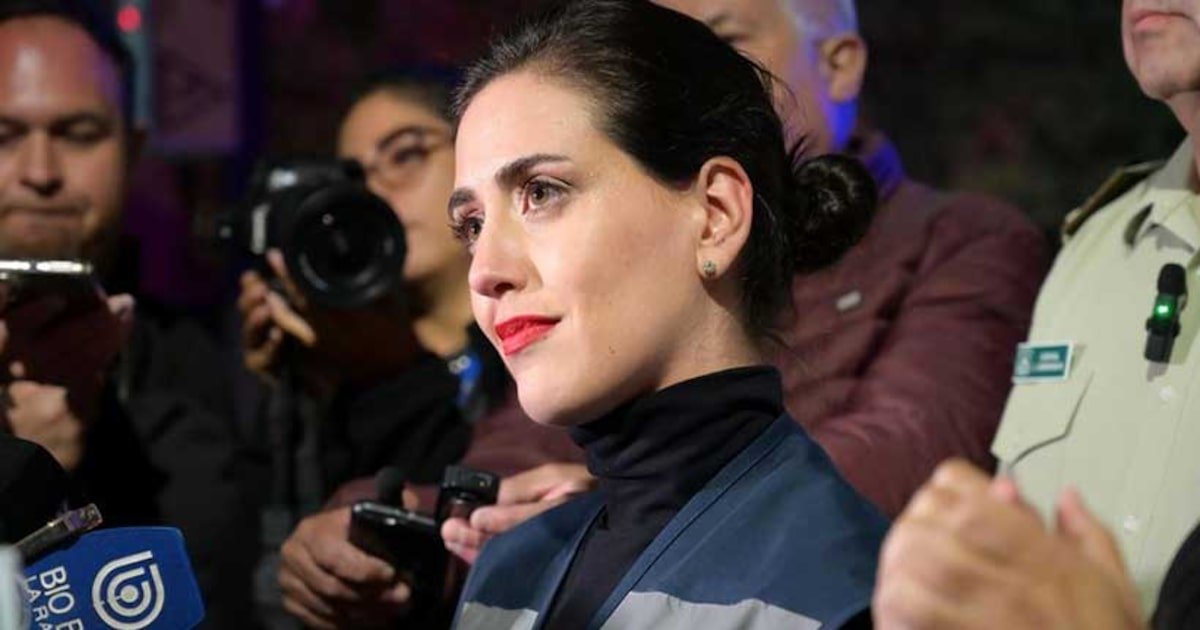 El llamado de Tohá a Ripamonti para suspender el Festival de Viña El llamado de Tohá a Ripamonti para suspender el Festival de Viña