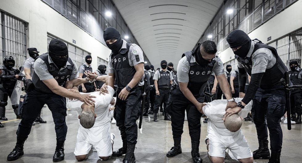 Venezuela califica de “crimen de lesa humanidad” deportación de migrantes de Estados Unidos a cárcel de El Salvador | Tren de Aragua | Donald Trump | Cecot | Nayib Bukele | Nicolás Maduro | MUNDO Venezuela califica de “crimen de lesa humanidad” deportación de migrantes de Estados Unidos a cárcel de El Salvador | Tren de Aragua | Donald Trump | Cecot | Nayib Bukele | Nicolás Maduro | MUNDO