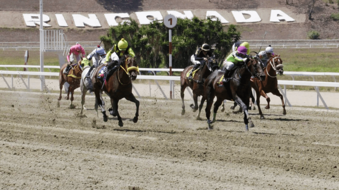 INH: Resultados del Hipódromo La Rinconada, domingo 23-3-2025 INH: Resultados del Hipódromo La Rinconada, domingo 23-3-2025