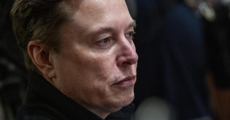El ‘torbellino’ Elon Musk pierde fuelle tras revolucionar el Washington de Trump