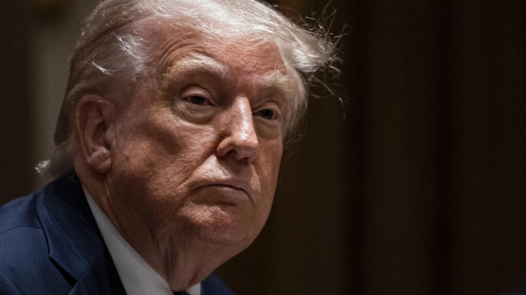 Trump considera una “concesión” que Putin acepte la paz sin tomar todo el territorio de Ucrania Trump considera una “concesión” que Putin acepte la paz sin tomar todo el territorio de Ucrania