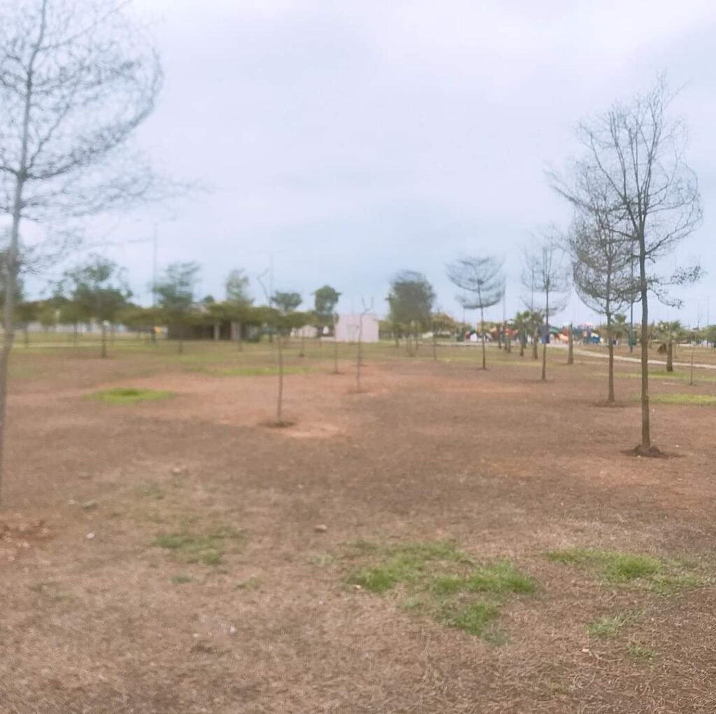 Así se encuentra el Parque Zoila Ugarte en Machala el parque más grande de la provincia que hizo 
@MashiRafael
 deteriorado en mal estado.
Así lo volverán a poner al parque Samanes cuando ya 
@aquilesalvarez
 lo recuperó
