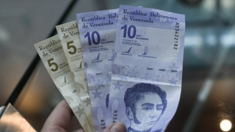 cuatro pasos para activar el pago en el Sistema Patria