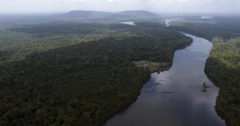 Qué se sabe de la elección de Venezuela en el territorio estratégico que disputa con Guyana