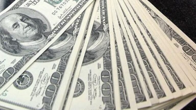 El dólar abre la jornada a la baja con un precio promedio de .143