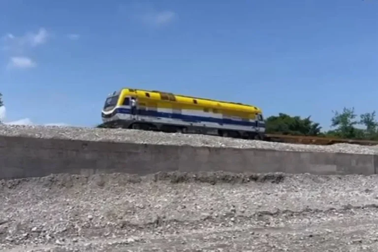 Activarán tren de carga para conectar a Puerto Cabello con Portuguesa y Lara
