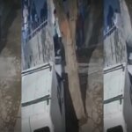 Mujer venezolana fue asesinada en Chile tras discusión con vecinos por volumen de la música: acusan crimen de odio