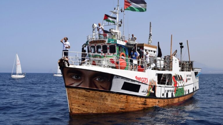 La portavoz de Rumbo a Gaza, sobre el secuestro de la Flotilla de la Libertad: “Van a deportarlos inmediatamente, a Israel no le conviene otra cosa”