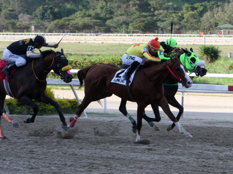 Resultados de La Rinconada – Líder en deportes