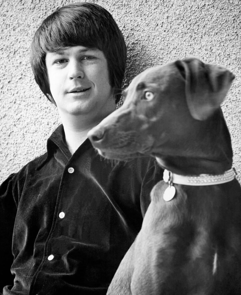 Brian Wilson, un genio musical capaz de entregar su vida por una mariposa | Cultura