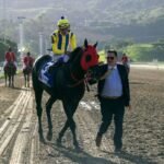 Ricky D’Angelo con gran opción este domingo
