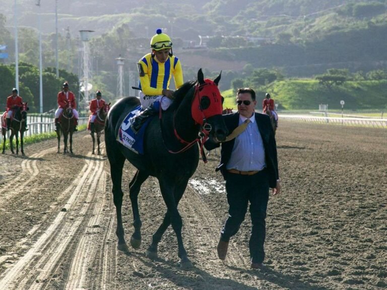 Ricky D’Angelo con gran opción este domingo