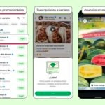 Los anuncios de WhatsApp no llegarán a los usuarios europeos hasta el 2026