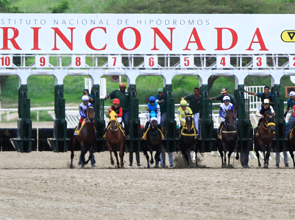 INH: Resultados del Hipódromo La Rinconada, domingo 1-6-2025 INH: Resultados del Hipódromo La Rinconada, domingo 1-6-2025